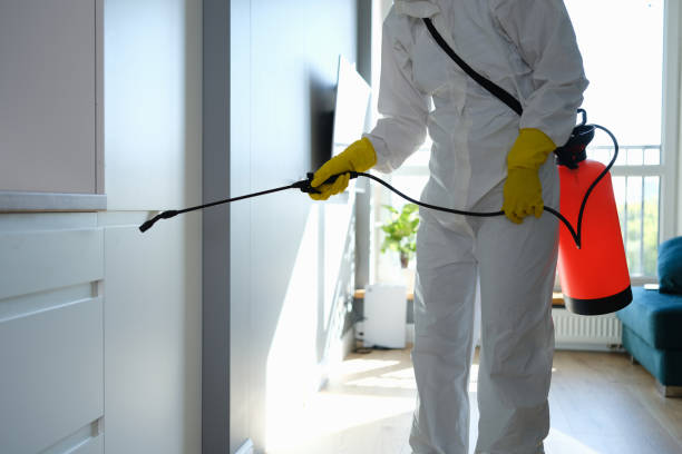 Best Commercial Mold Removal  in Edgewater, FL