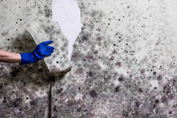 Water Damage Restoration in Edgewater, FL